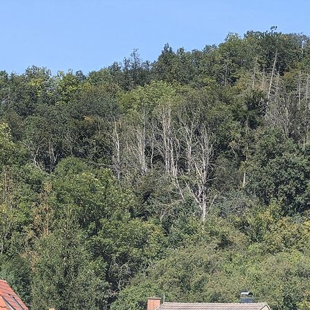 Ferienwohnung Mit Ausblick In Wimmelburg Buitenkant foto